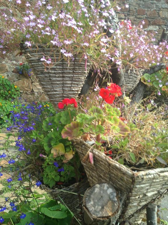 Bed and Breakfast Belstane House Cellardyke Exterior foto